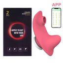 Red Vibrators